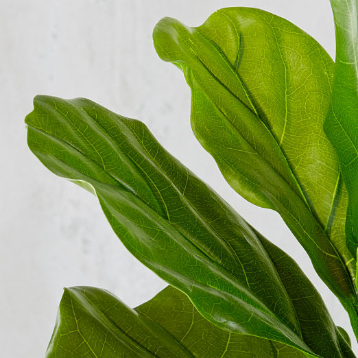 Potted Faux Fiddle Leaf Fig 5'