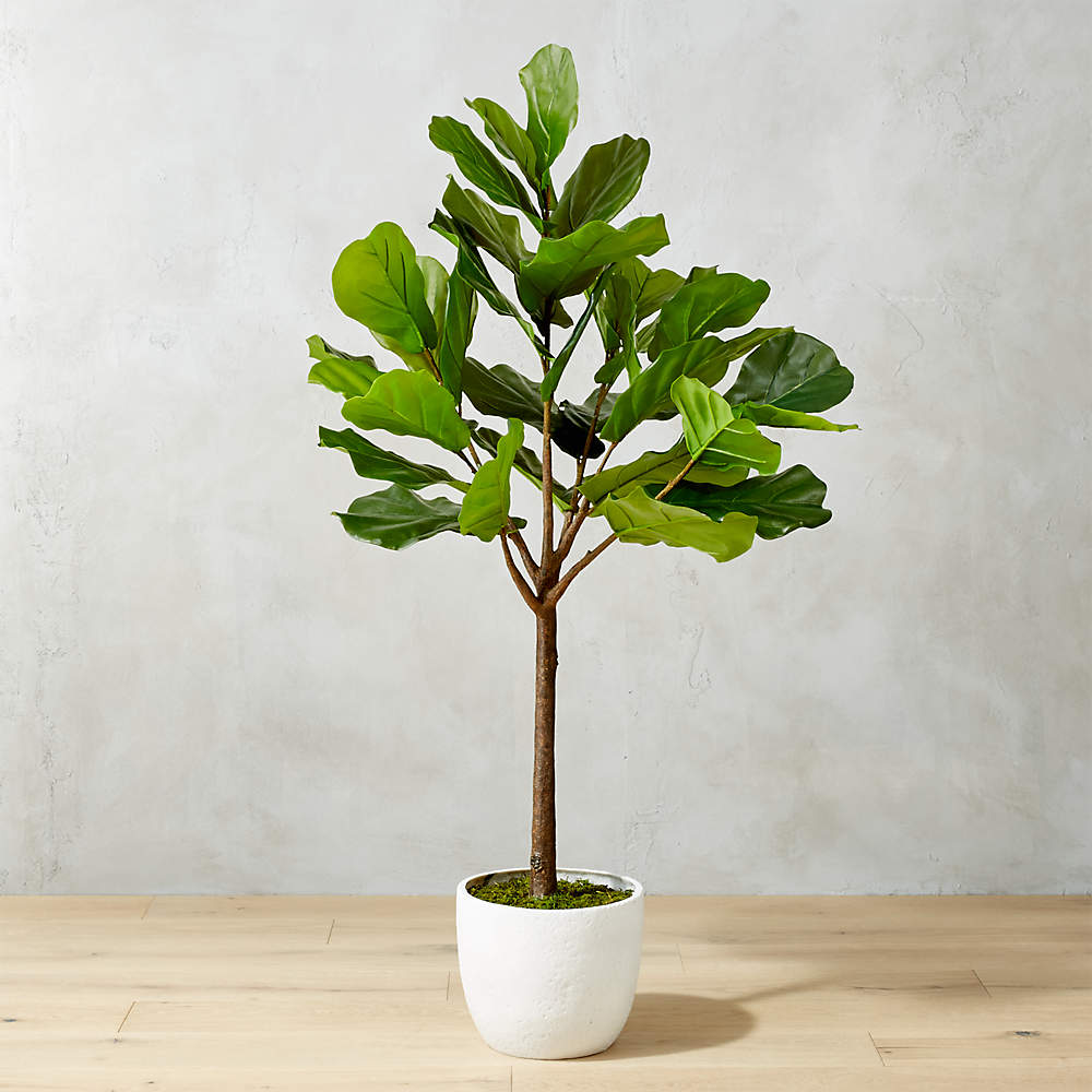 65" potted faux fiddle leaf fig + reviews | cb2