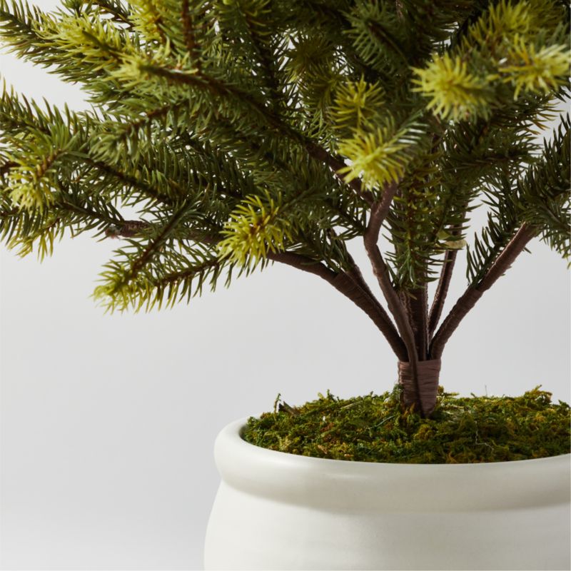 Potted Faux Pine Tree 24'' - image 1 of 2