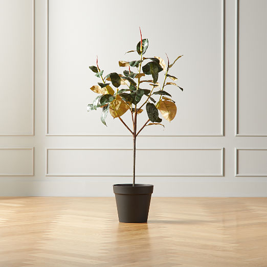 Faux Plants Artificial Botanicals Cb2