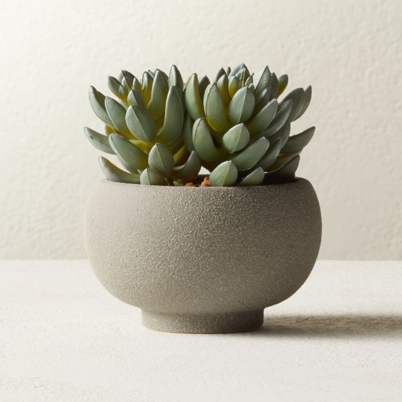 View Potted Faux Succulents 4.25" details