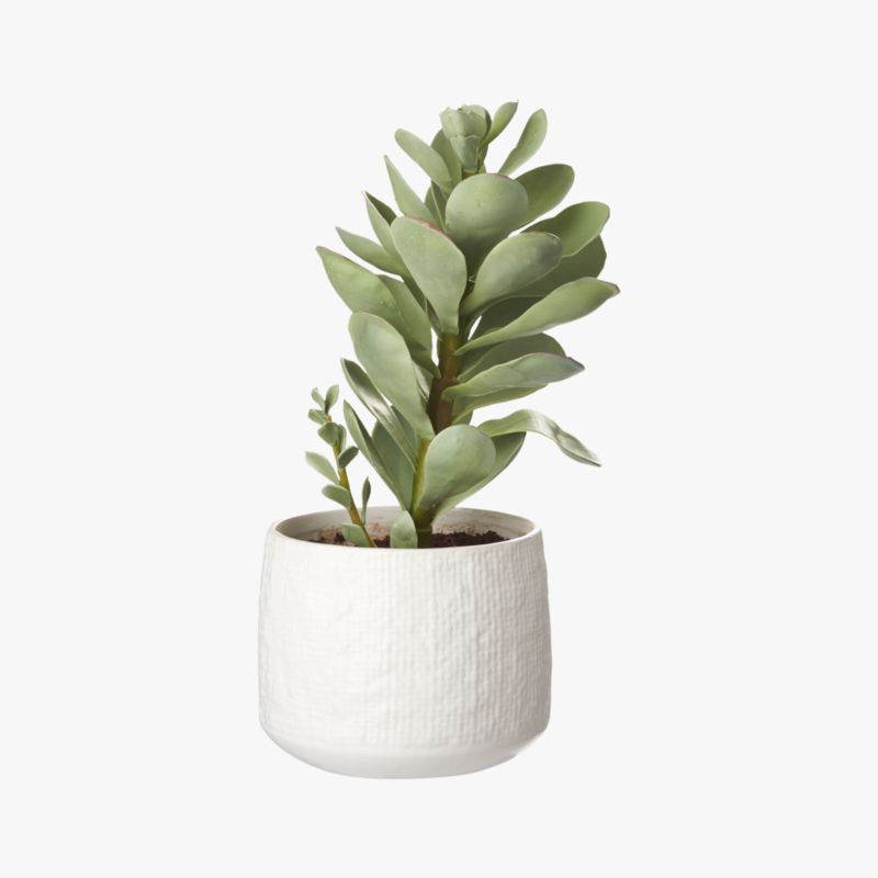 Potted Faux Succulent 14" - image 6 of 10