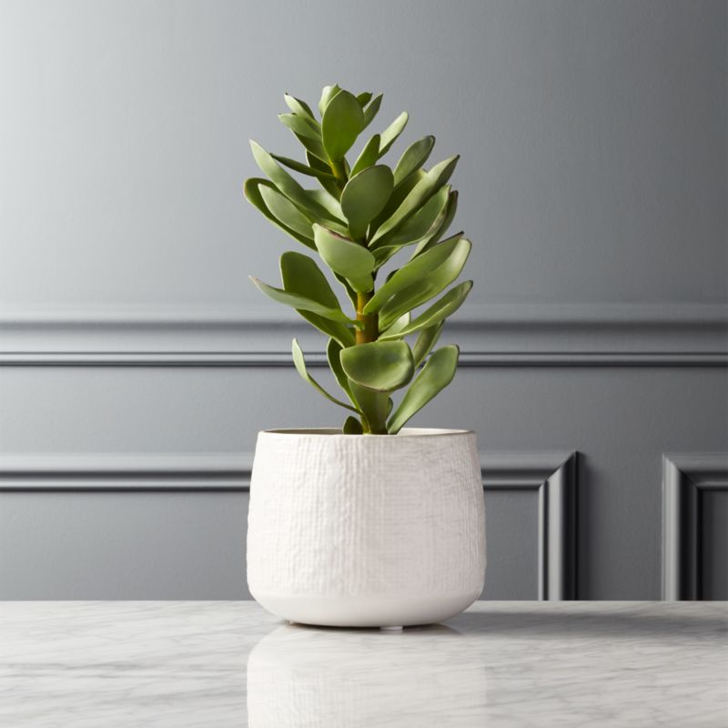 View Potted Faux Succulent 14" details