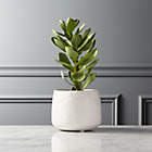 Faux Thistle Berry Stem 39"