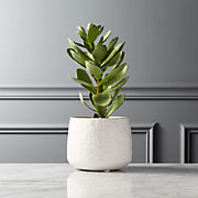 Miramar Paneled Dark Brown Ceramic Planter with Reactive Glaze