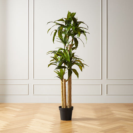 Faux Plants Artificial Botanicals Cb2