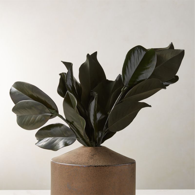 View Preserved Magnolia Stems Set of 3 details