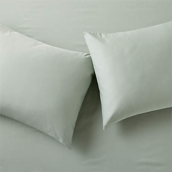 Premier Pale Teal Organic Cotton Sateen 600 Thread Count Standard Pillowcases Set of 2