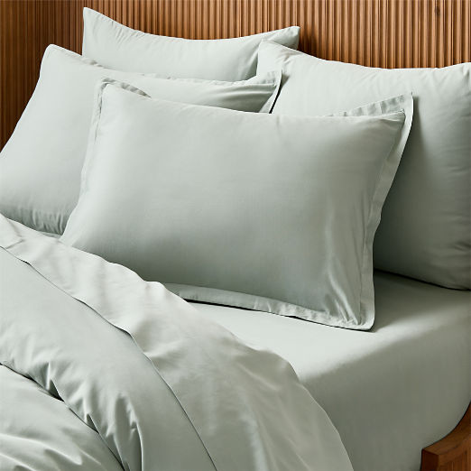 Premier Pale Teal Organic Cotton Sateen 600 Thread Count Pillow Shams Set of 2