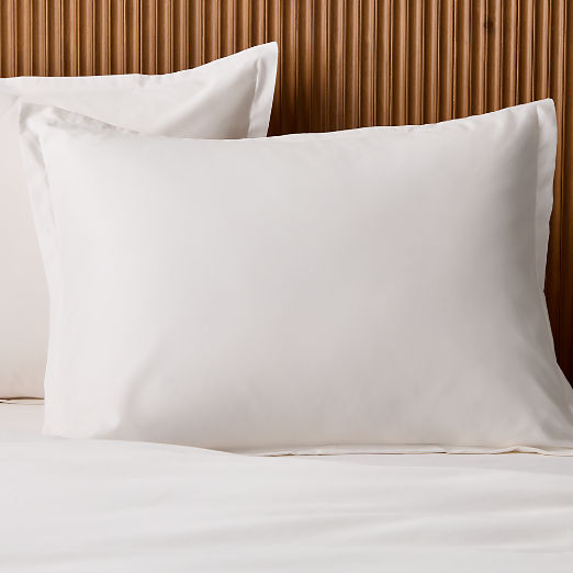 Premier Warm White Organic Cotton Sateen 600 Thread Count Standard Pillow Shams Set of 2