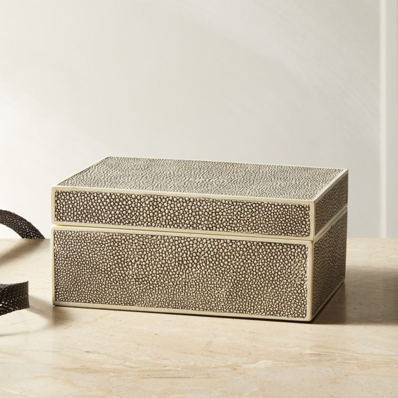 Resin Shagreen Jewelry Box Reviews Cb2