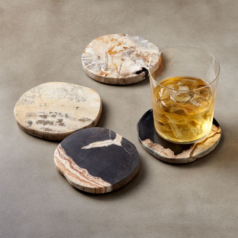 Ring Petrified Wood Coasters Set of 4 + Reviews