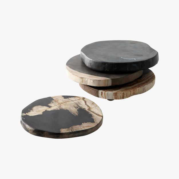 CB2 Petrified Wood Coasters 