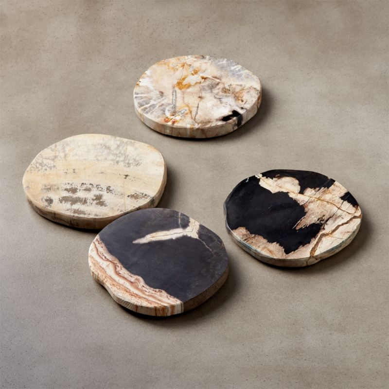 View Ring Petrified Wood Coasters Set of 4 details