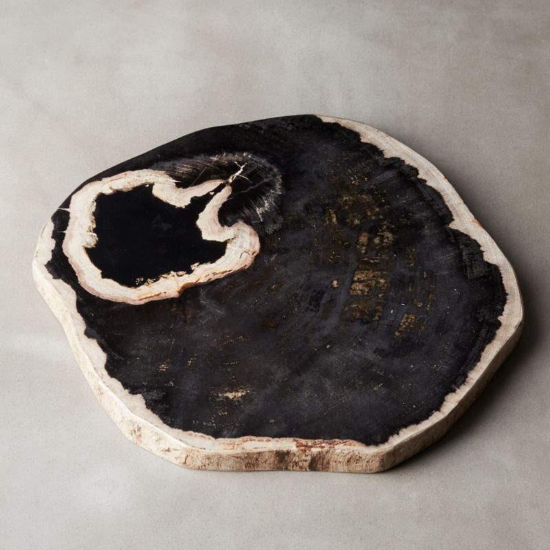 View Ring Petrified Wood Serving Board details