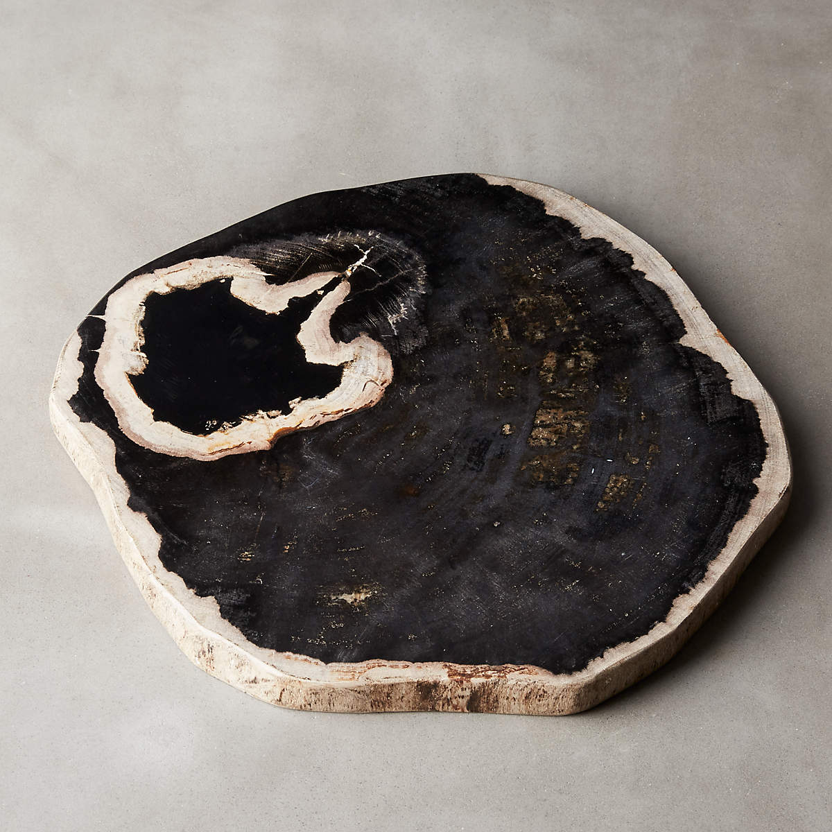 Ring Petrified Wood Serving Board + Reviews | CB2