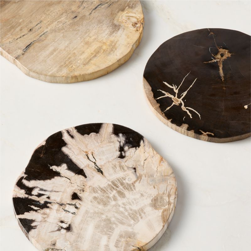 Ring Petrified Wood Serving Board - image 4 of 9