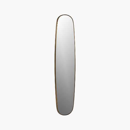 Rogue Brass Large Oval Wall Mirror 14"x61"