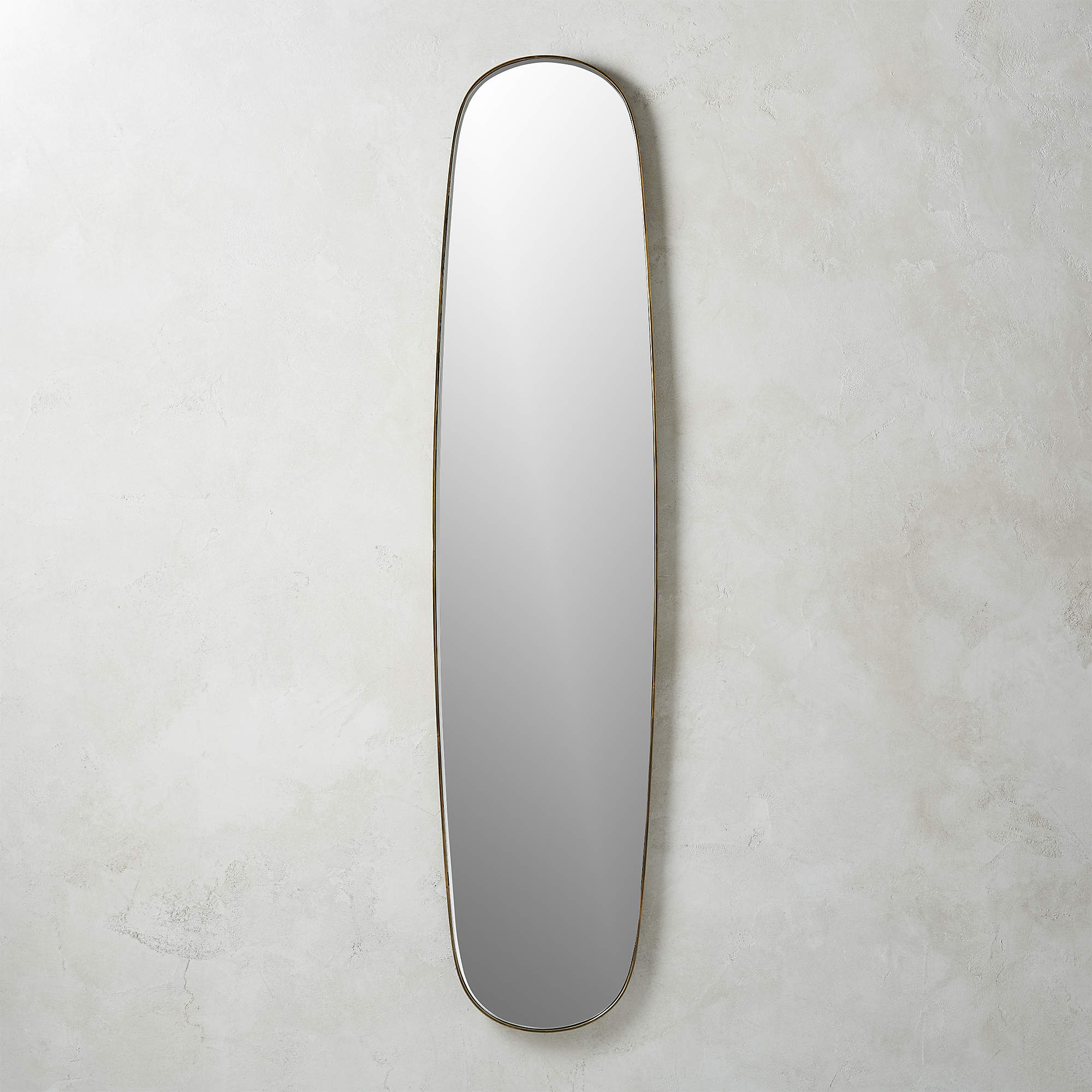 Rogue Brass Large Oval Wall Mirror 14"x61" + Reviews CB2