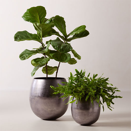 Rough Cast Black Aluminum Indoor Planters