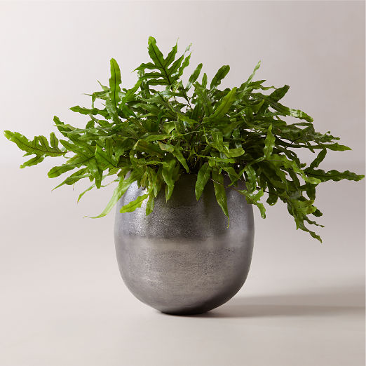 Rough Cast Black Aluminum Indoor Planter Small