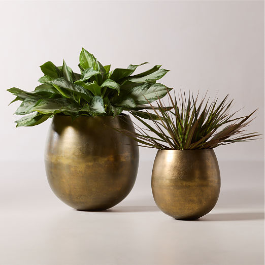 Rough Cast Brass Metal Indoor Planter Large