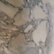 White Marble