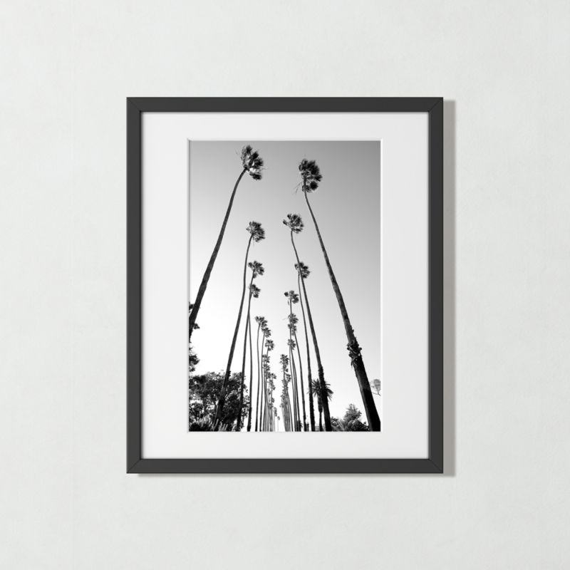 'Palm Trees Road' Photographic Print in Black Frame 21.5"x25.5" - image 0 of 8