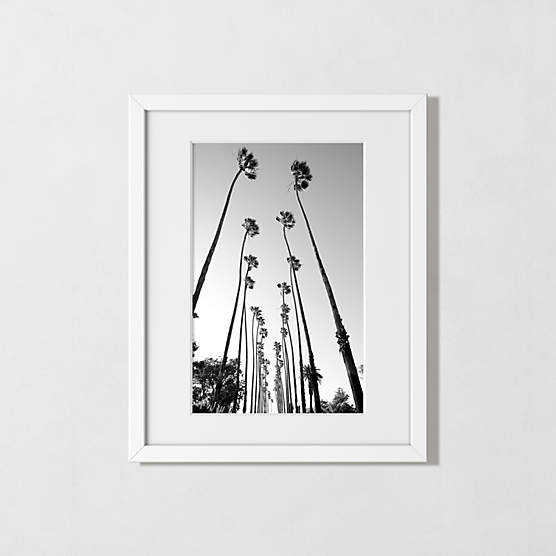 'Palm Trees Road' Photographic Print in White Frame 17.5"x21.5"