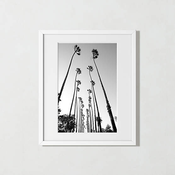 'Palm Trees Road' Photographic Print in White Frame 21.5"x25.5"