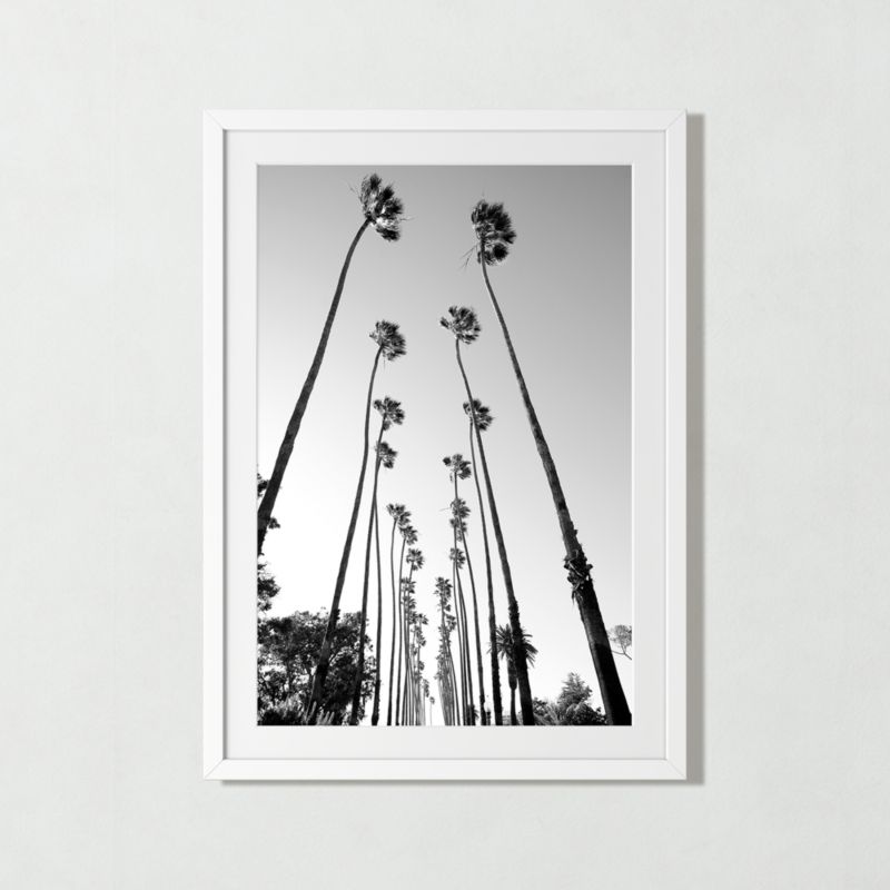 'Palm Trees Road' Photographic Print in White Frame 28.5"x39.5" - image 0 of 7