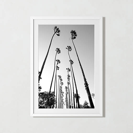 'Palm Trees Road' Photographic Print in White Frame 28.5"x39.5"