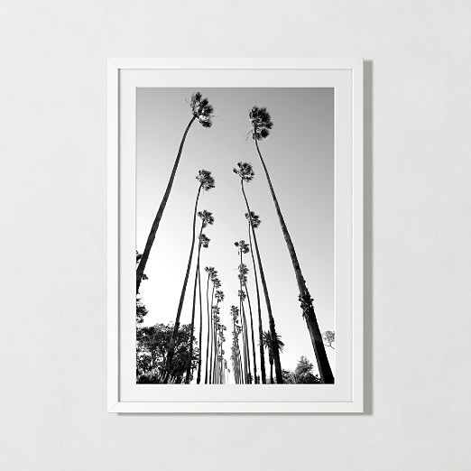 'Palm Trees Road' Photographic Print in White Frame 28.5"x39.5"