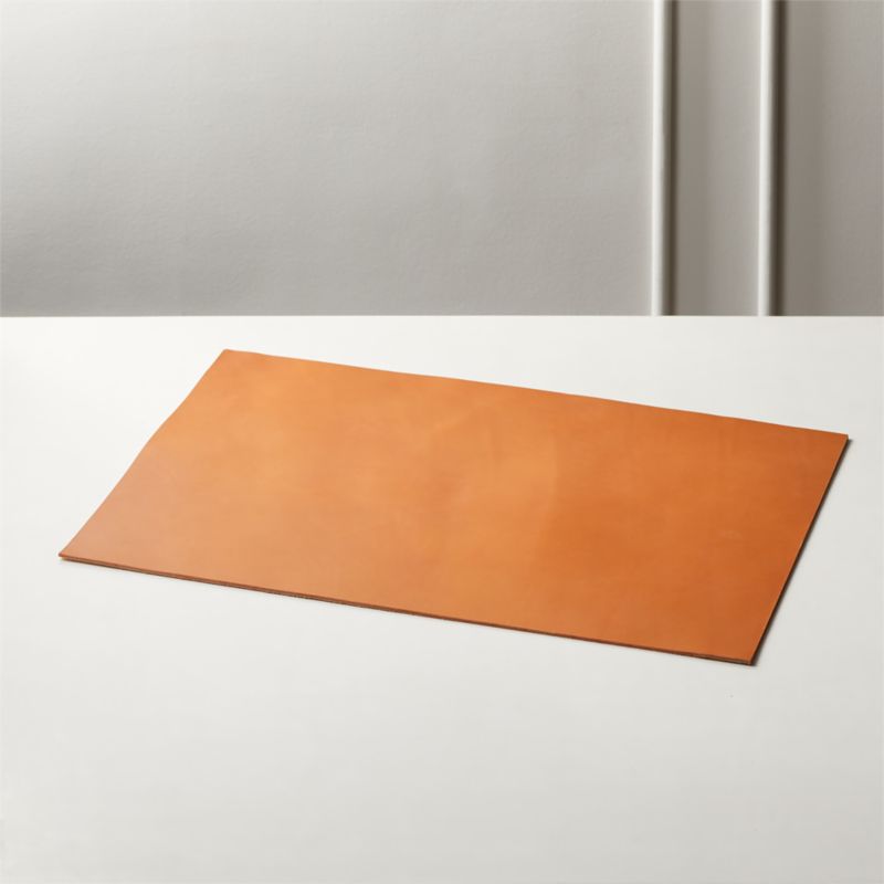 Rein Saddle Leather Desk Blotter Cb2