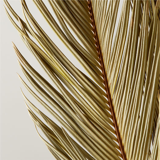 Sago Dried Palm Leaf Bunch 27"-34"