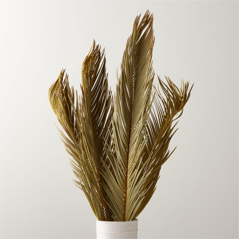 View Sago Dried Palm Leaf Bunch 27"-34" details