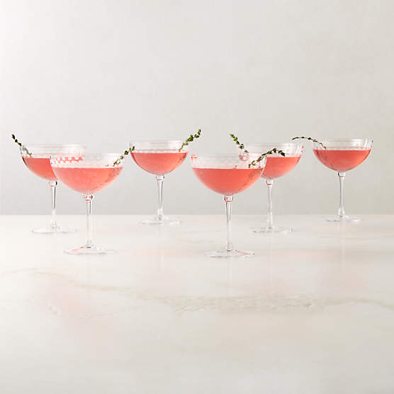 Saint Germain Etched Coupe Glasses Set of 6 by Todd Snyder