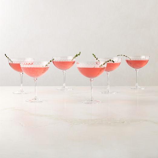 Saint Germain Etched Coupe Glasses Set of 6 by Todd Snyder