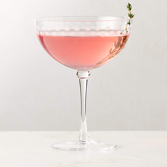 Saint Germain Etched Coupe Glass by Todd Snyder