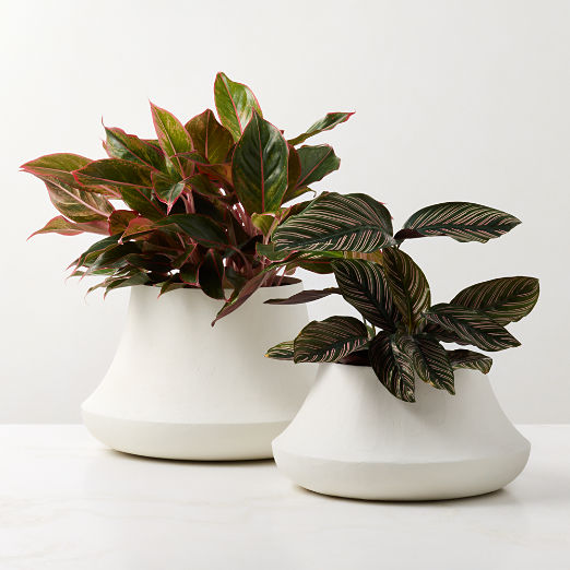 Sakina Ivory Faux Plaster Indoor/Outdoor Small Planter Bowl 6.75"H