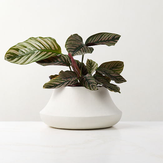 Sakina Ivory Faux Plaster Indoor/Outdoor Small Planter Bowl 6.75"H