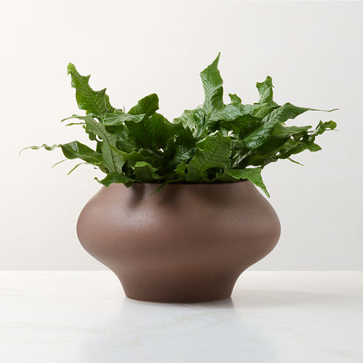 Samia Brown Ceramic Textured Glazed Indoor/Outdoor Small Planter Bowl 7.75"H