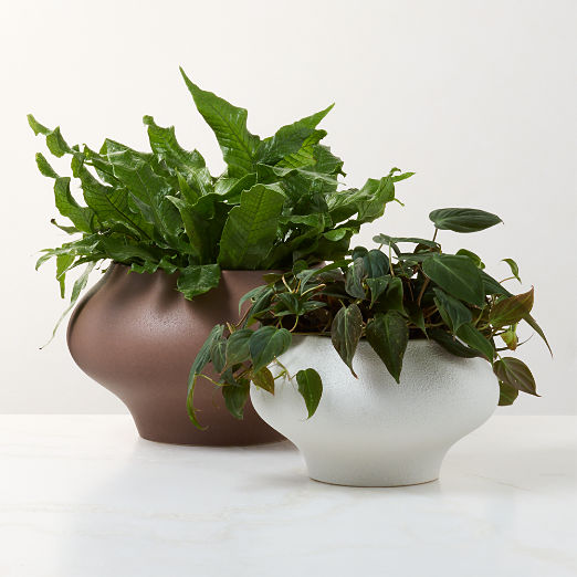 Samia Brown Ceramic Textured Glazed Indoor/Outdoor Small Planter Bowl 7.75"