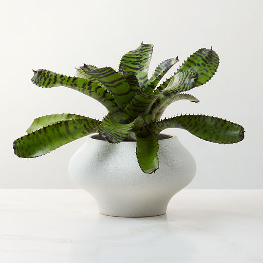Samia White Ceramic Textured Glazed Indoor/Outdoor Small Planter Bowl 6.25"