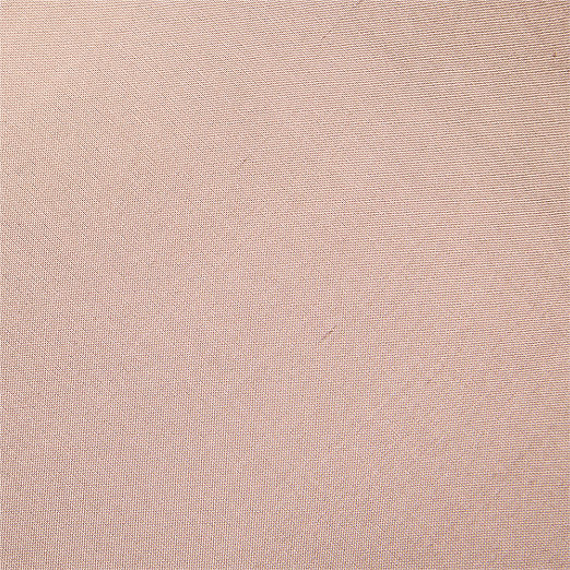 Seda Light Mauve Dupioni Silk Throw Pillow with Down-Alternative Insert 20"x20"