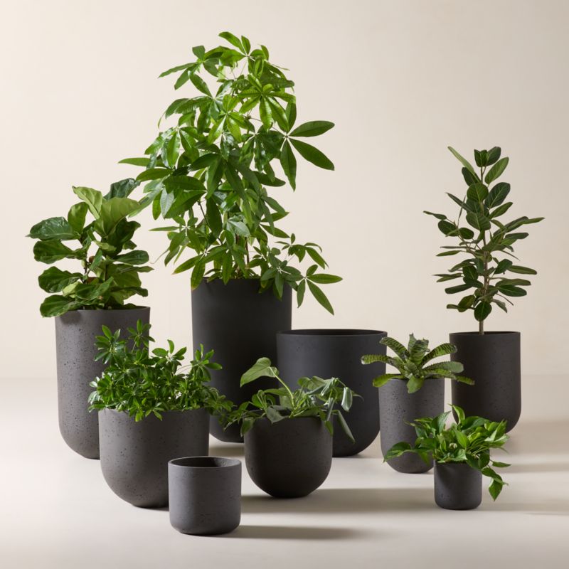 Seminyak Black Cement Indoor/Outdoor Medium Planter 20" - image 2 of 11