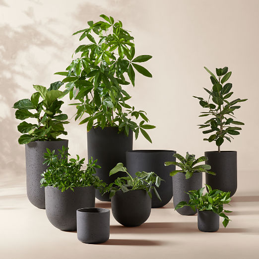 Seminyak Black Indoor/Outdoor Cement Planters