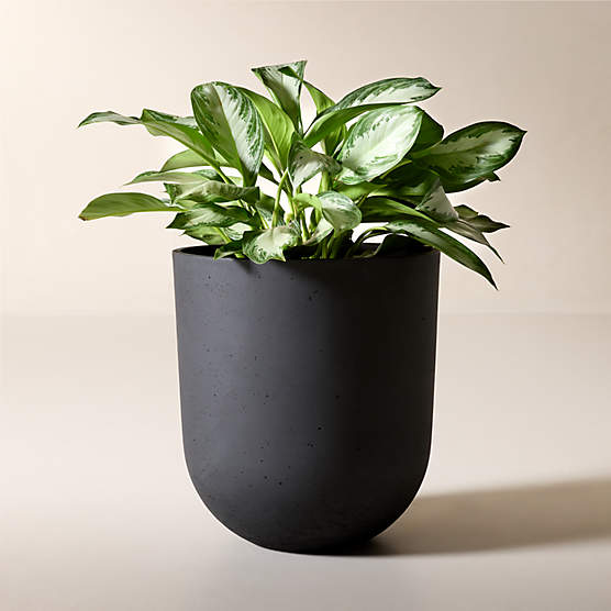 Seminyak Black Cement Indoor/Outdoor Large Planter 22"