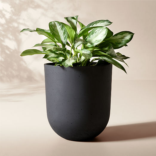 Seminyak Black Cement Indoor/Outdoor Large Planter 22"H