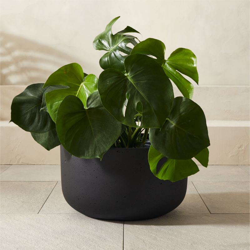 Seminyak Black Cement Indoor/Outdoor Planter Low - image 3 of 14